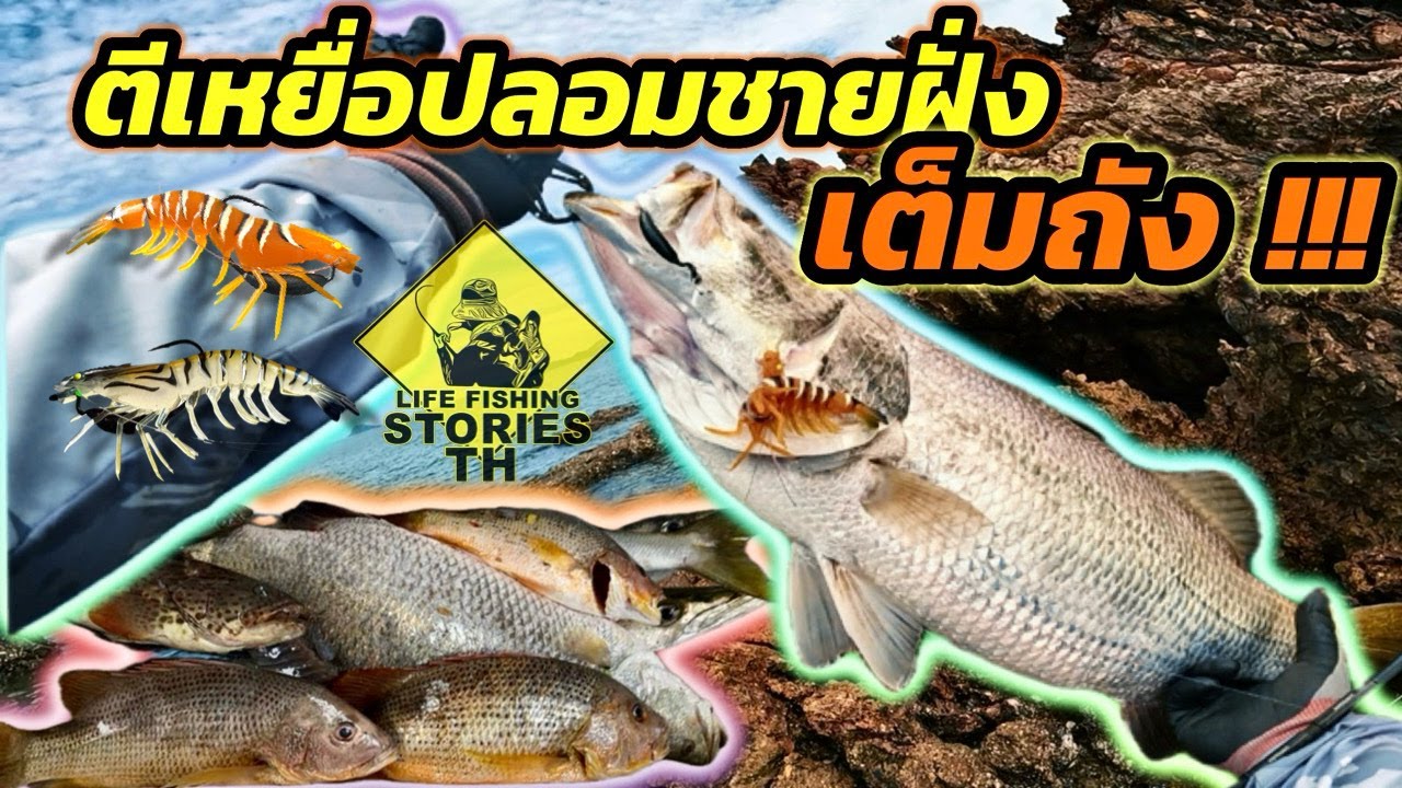 เต็มถัง !! ตกปลาด้วยเหยื่อปลอมชายฝั่ง  Shore fishing [ LFST ตกปลาด้วยเหยื่อปลอมชายฝั่ง83 ]