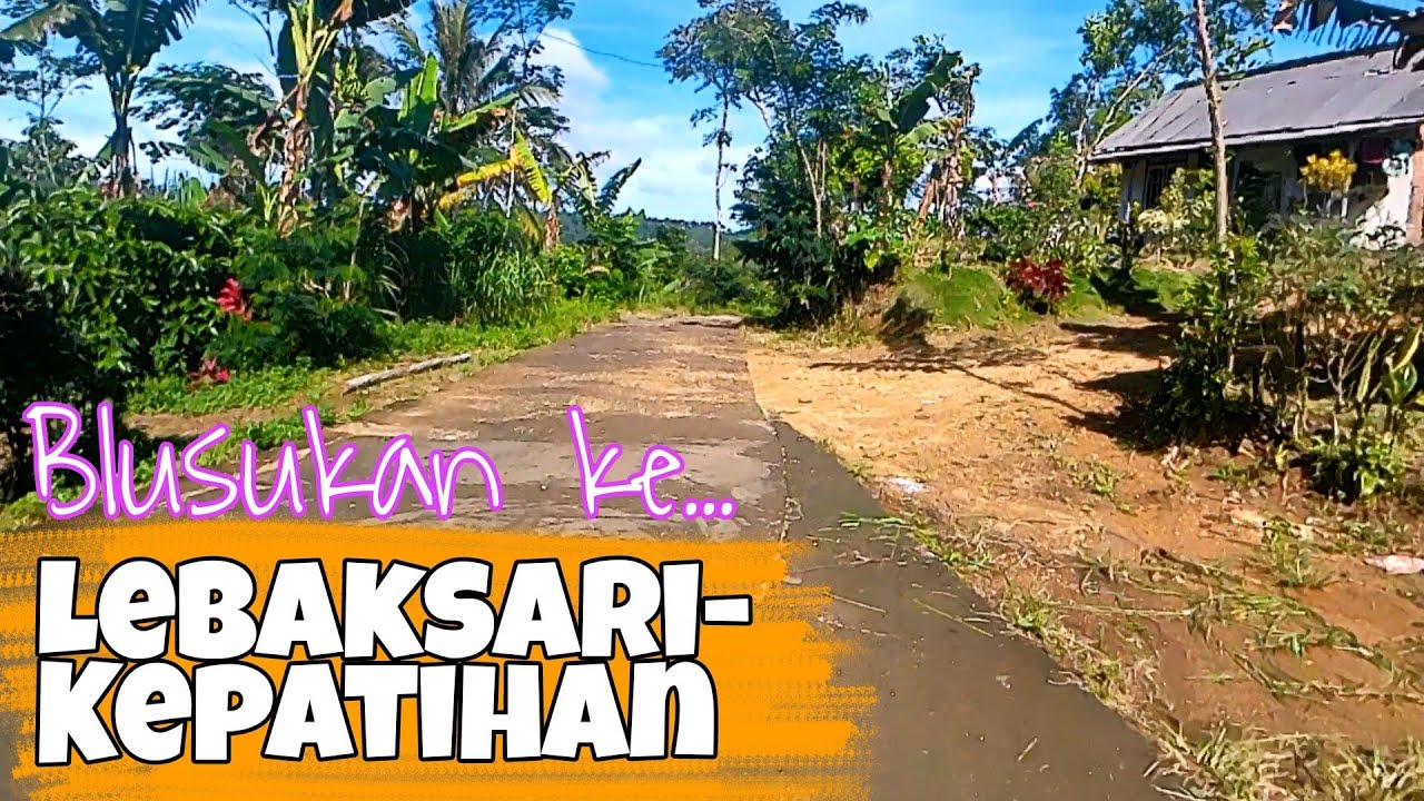 Off-road Blusukan Di Ardirejo Hingga Desa Lebaksari Kepatihan, Tirtoyudo || Djarno Channel