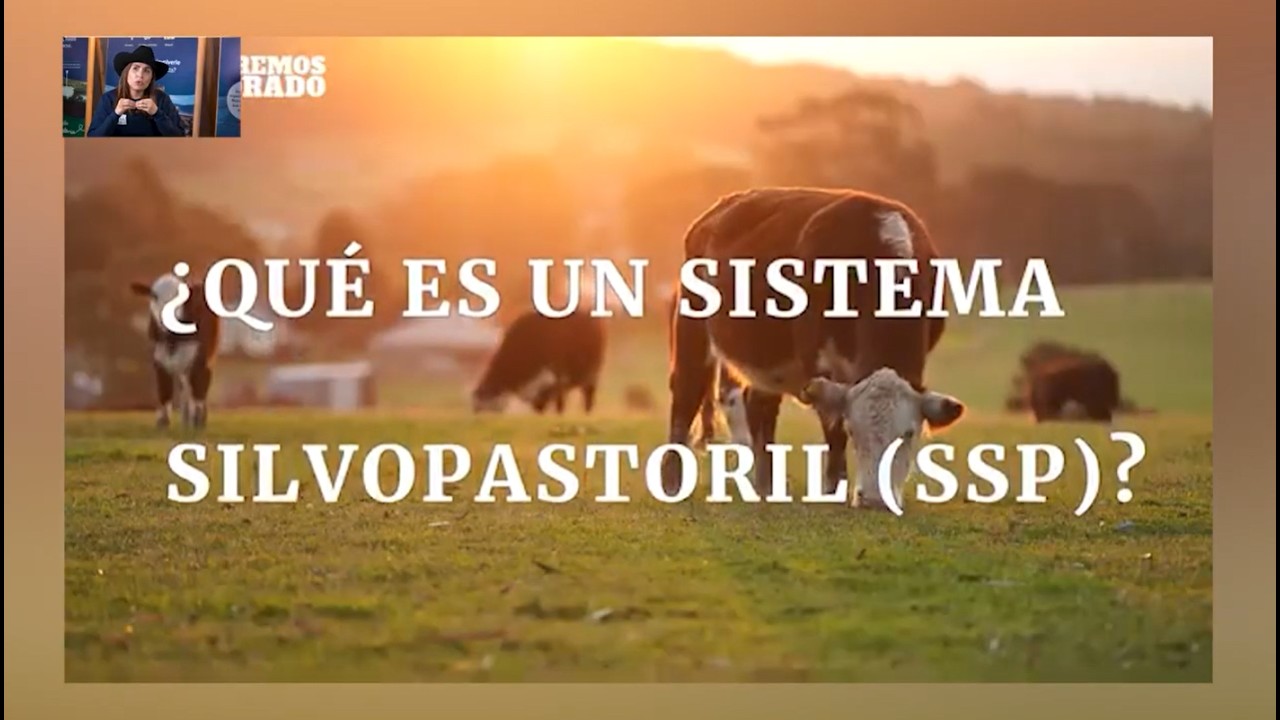 Revive el Rio Colorado.  Innovación productiva: Experiencias y oportunidades