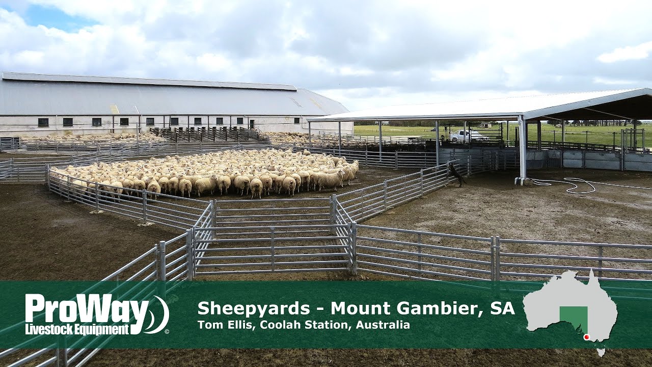 ProWay Sheepyards, Coola Station - Mt Gambier South Australia