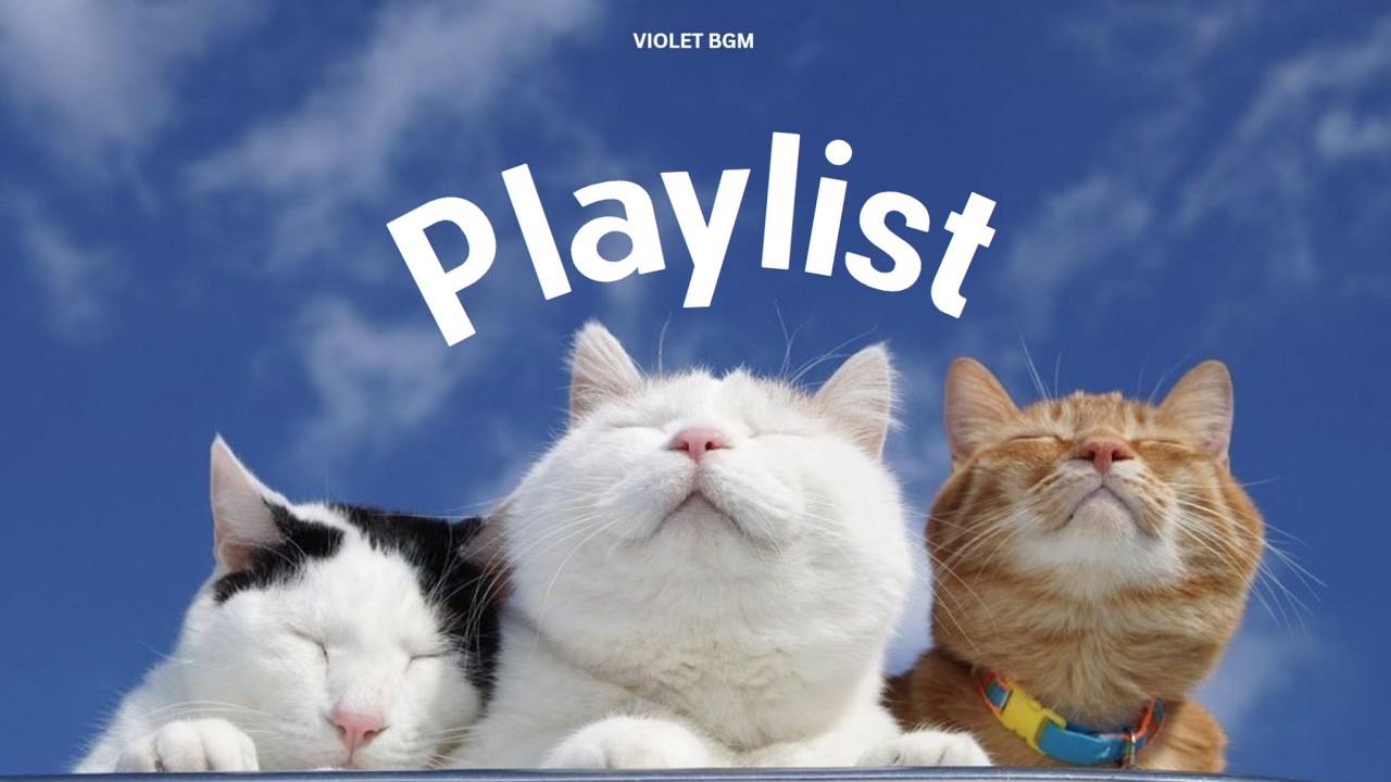 고양이와 함께하는 평화로운 오후 ☀️ | Cozy Cat Chill Playlist