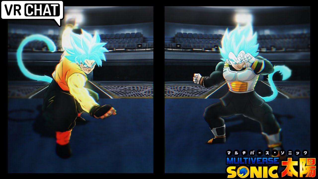 MULTIVERSE SONIC IN THE BUDOKAI TENKAICHI ROUND 2 [VRChat]