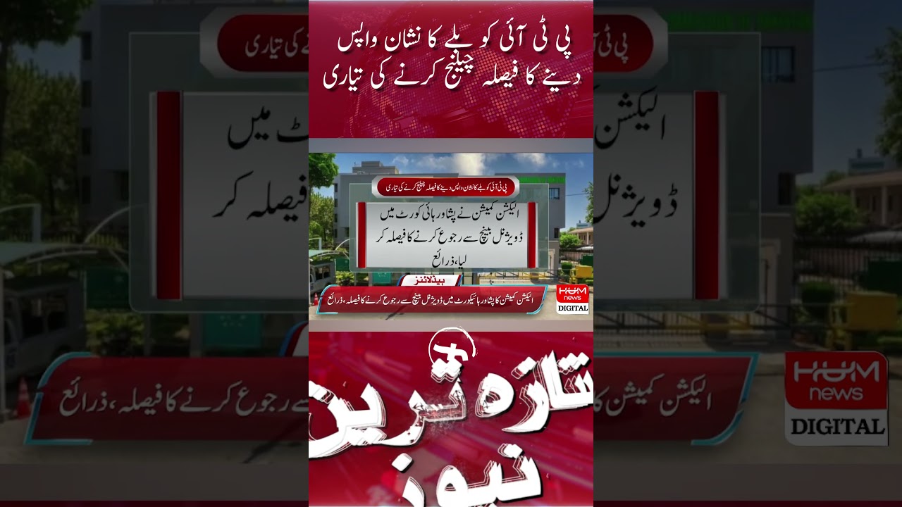 Preparing to challenge the decision to return the bat symbol to PTI