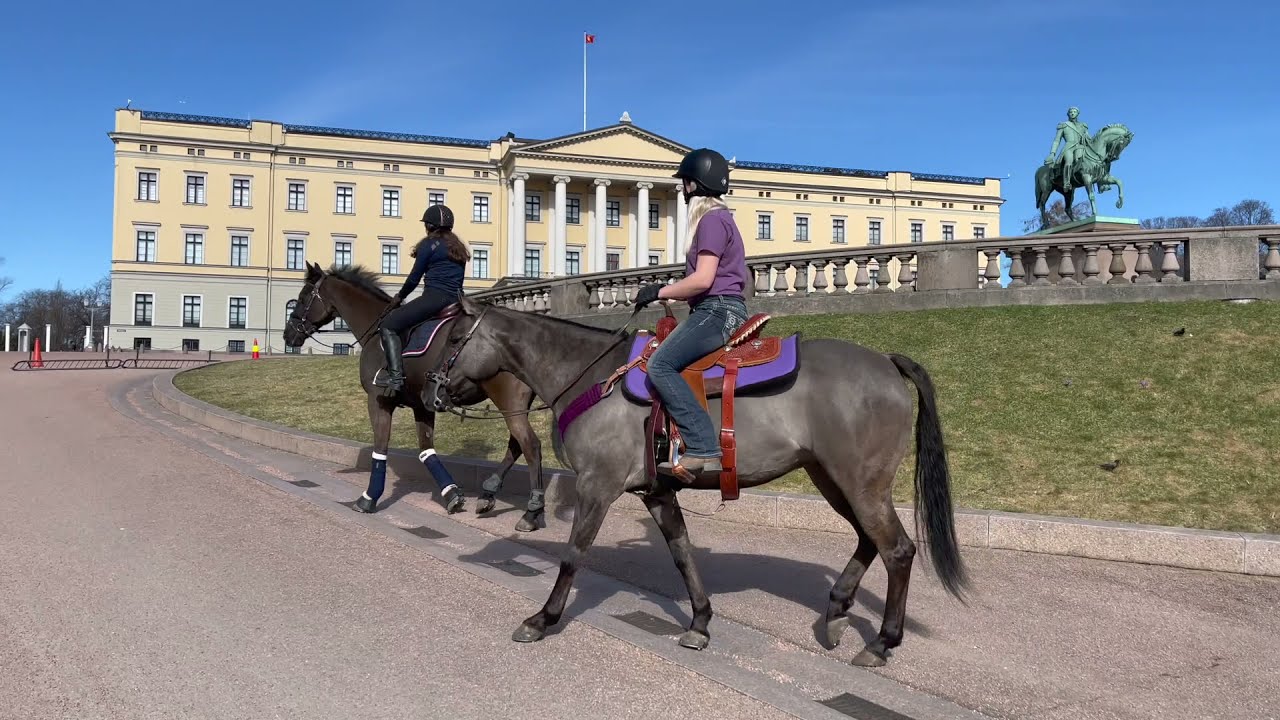 Maria Vilster vlog7 - Besøker slottet med hestene