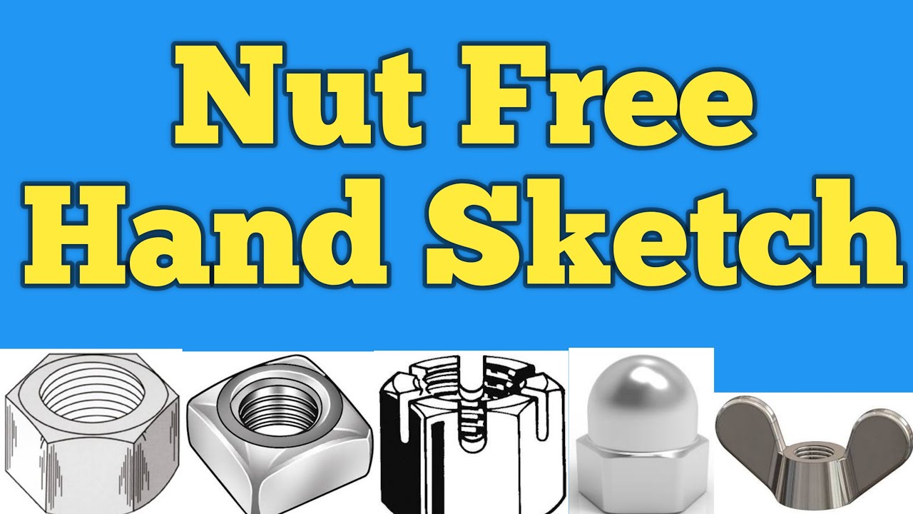 Nut free hand sketch | नट फ्री हैंड स्केच |