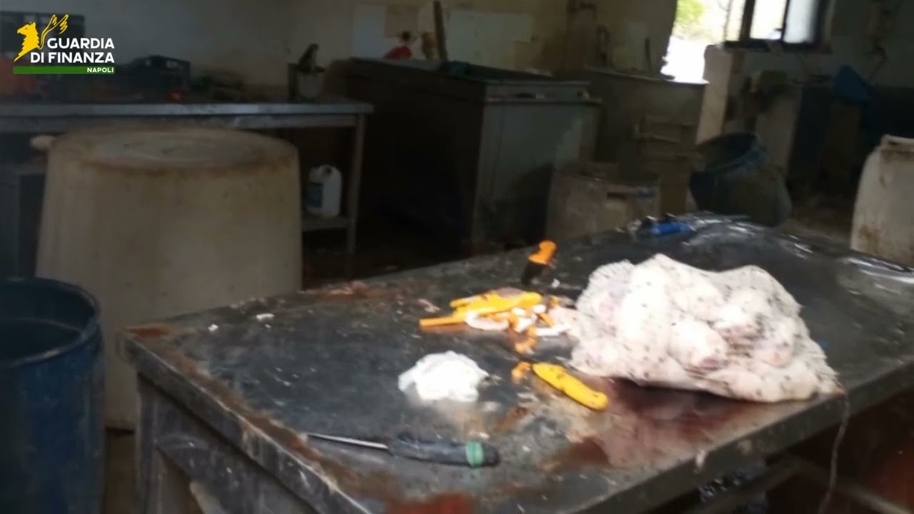 Striano - Sequestrata una tonnellata di frattaglie per la produzione di "'o per e 'o muss"