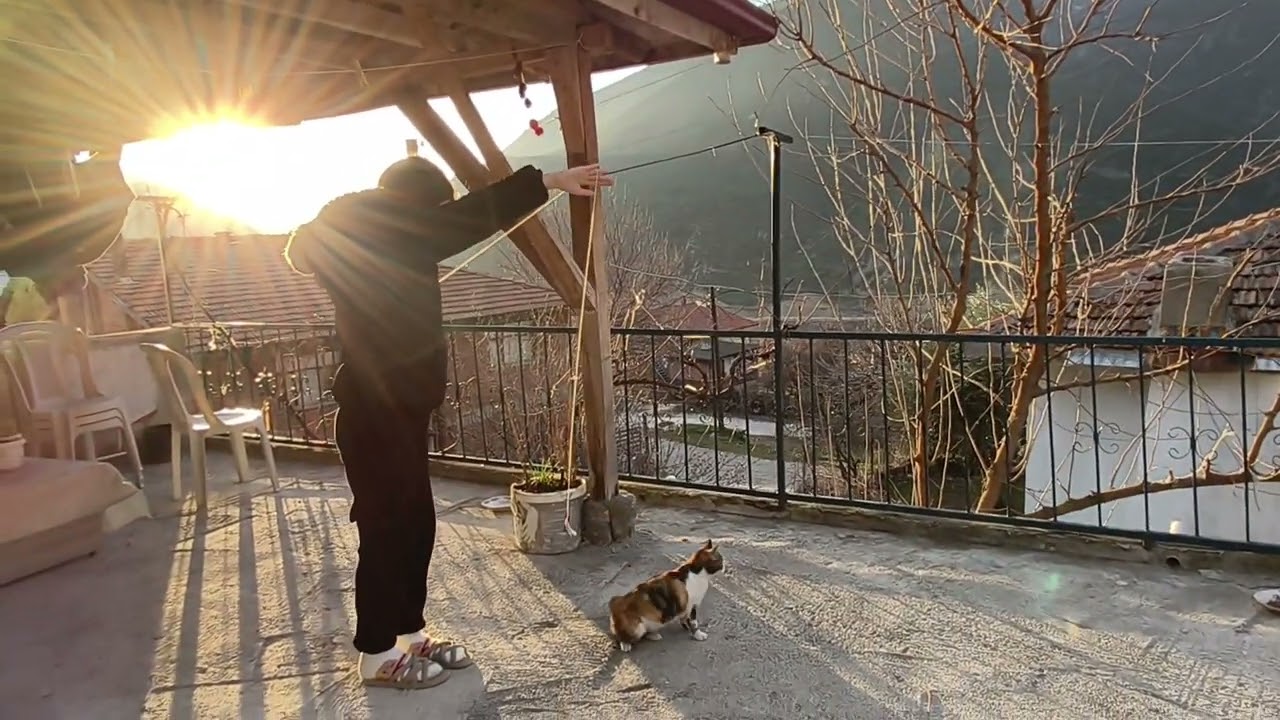 Mercan Eğitim sporu