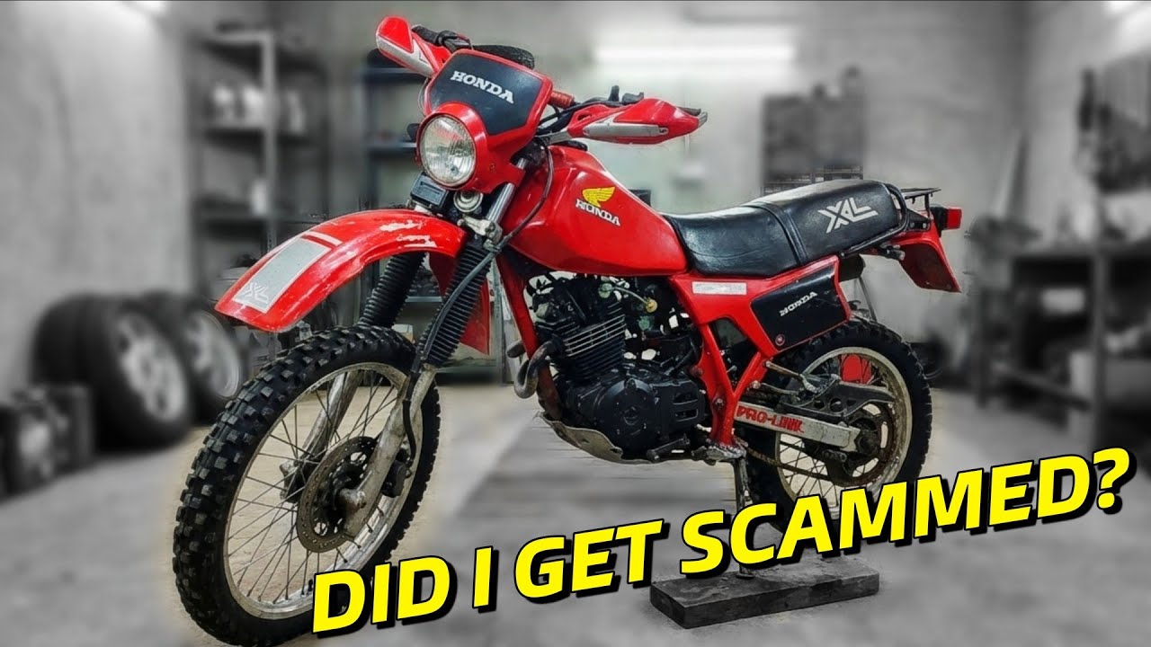 They Said No Mechanic Could Fix This Honda — So I Bought It CHEAP