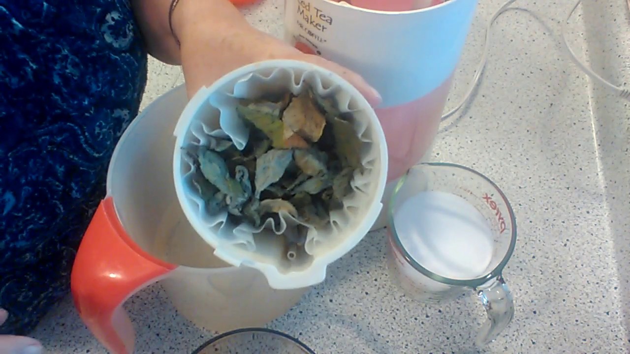 How to make Tea in a Ice Tea Maker