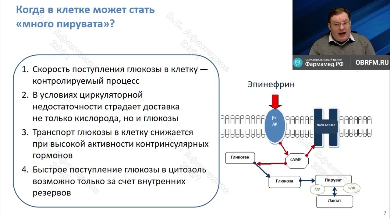 Лактат ацидоз при сепсисе Афончиков В.С.