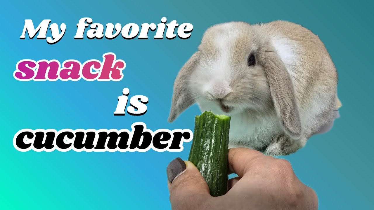 I love cucumbers so much, I’d choose them over snacks any day!” 