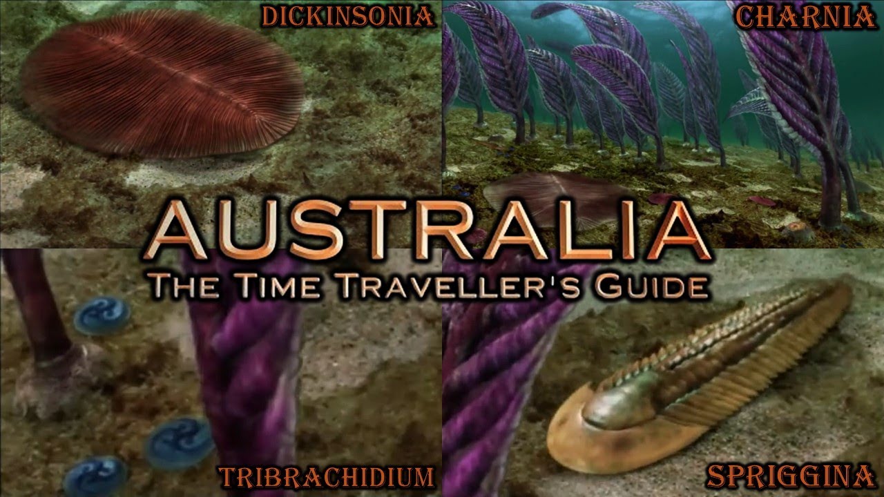 Australia: The Time Traveller's Guide Dickinsonia, Charnia, Spriggina and tribrachidium screen time