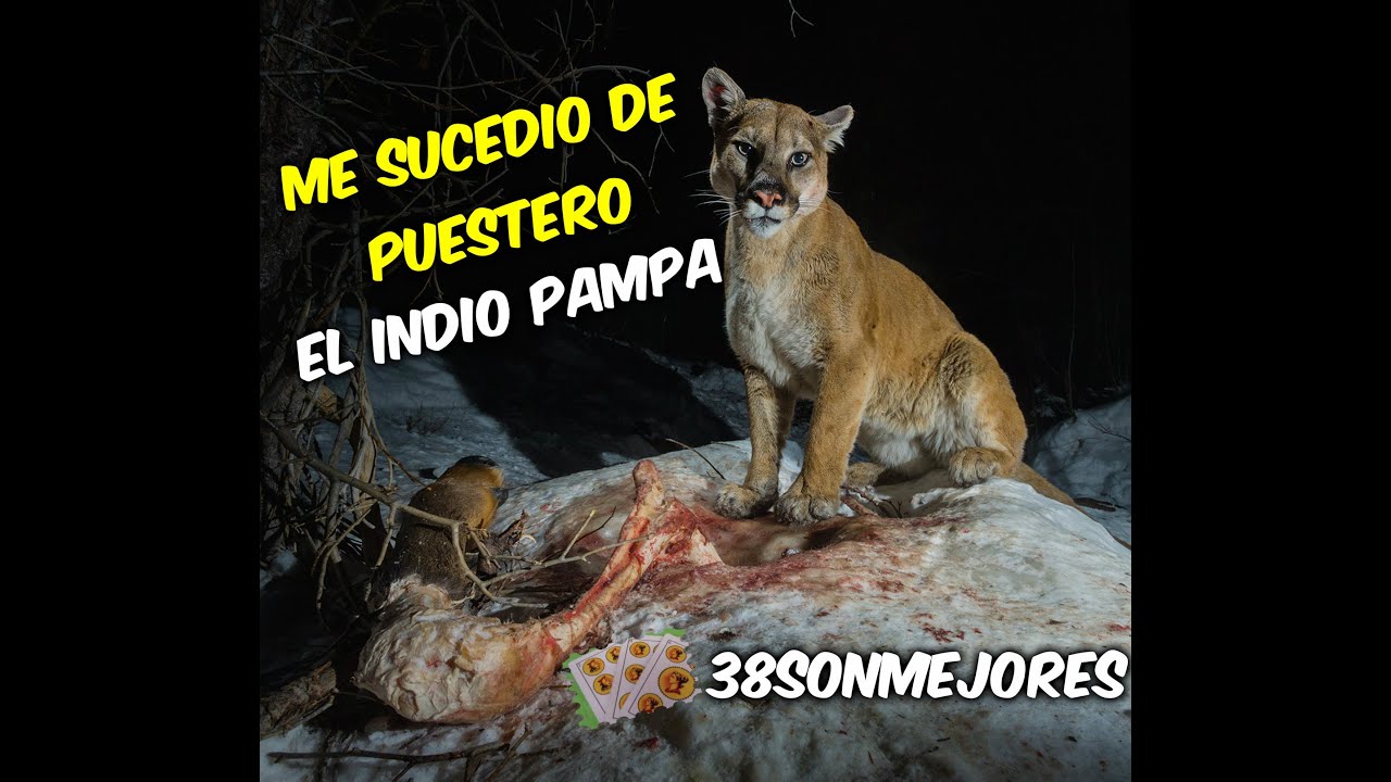 Me Sucedio de Puestero | El Indio Pampa