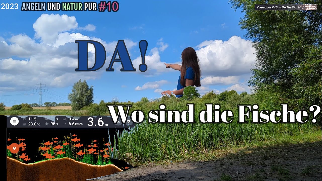 2023 ANGELN und NATUR #10 Wo sind die Fische?  #Karpfenangeln #carpfishing #Allroundangeln #Karpfen