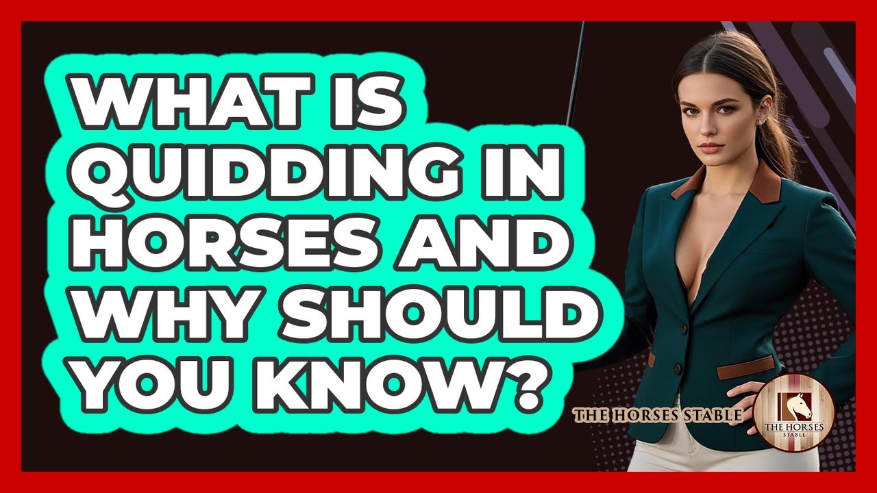 What Is Quidding In Horses And Why Should You Know? - The Horses Stable