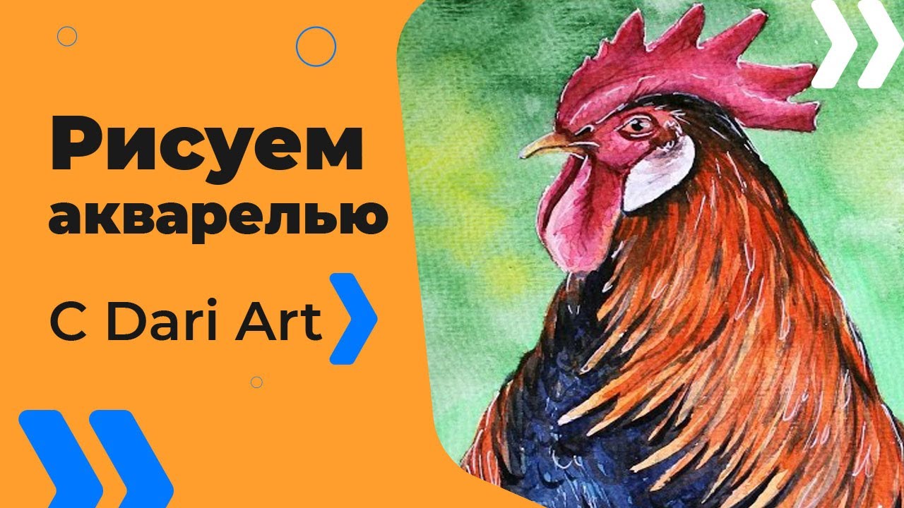 Как нарисовать петуха акварелью! #Dari_Art