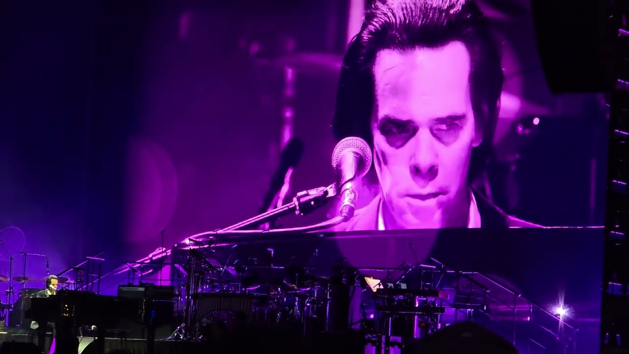 Nick Cave (solo) - Into My Arms (live) 