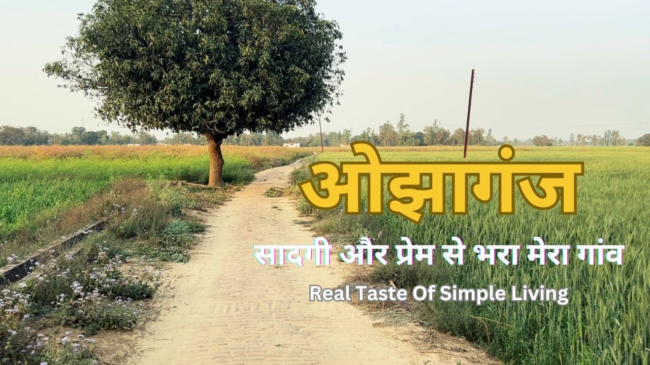 OJHAGANJ| MERA PYARA GAON| सादगी और प्रेम से भरा मेरा गांव।