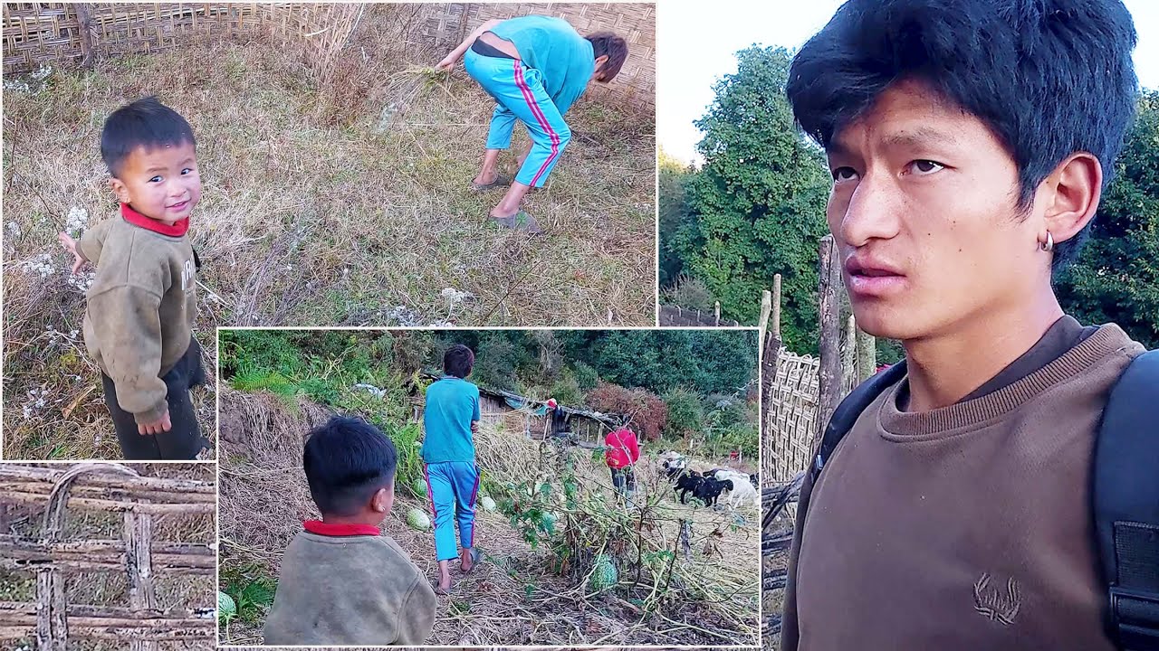 sanjip in his sheep farm with his son and nephew || shepherd life of Nepal ||
