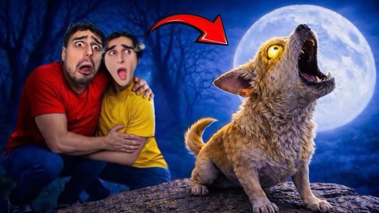 NON È PIÙ SOLO UN CANE…😱🐺