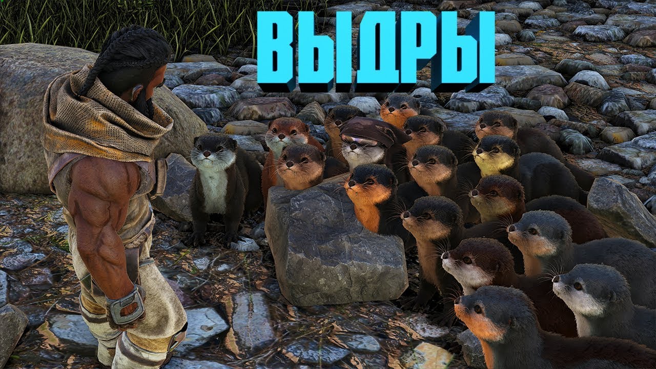 ПРИРУЧЕНИЕ ВЫДРЫ (OTTER), ГДЕ НАЙТИ, ЧТО ОНА УМЕЕТ - ARK  267