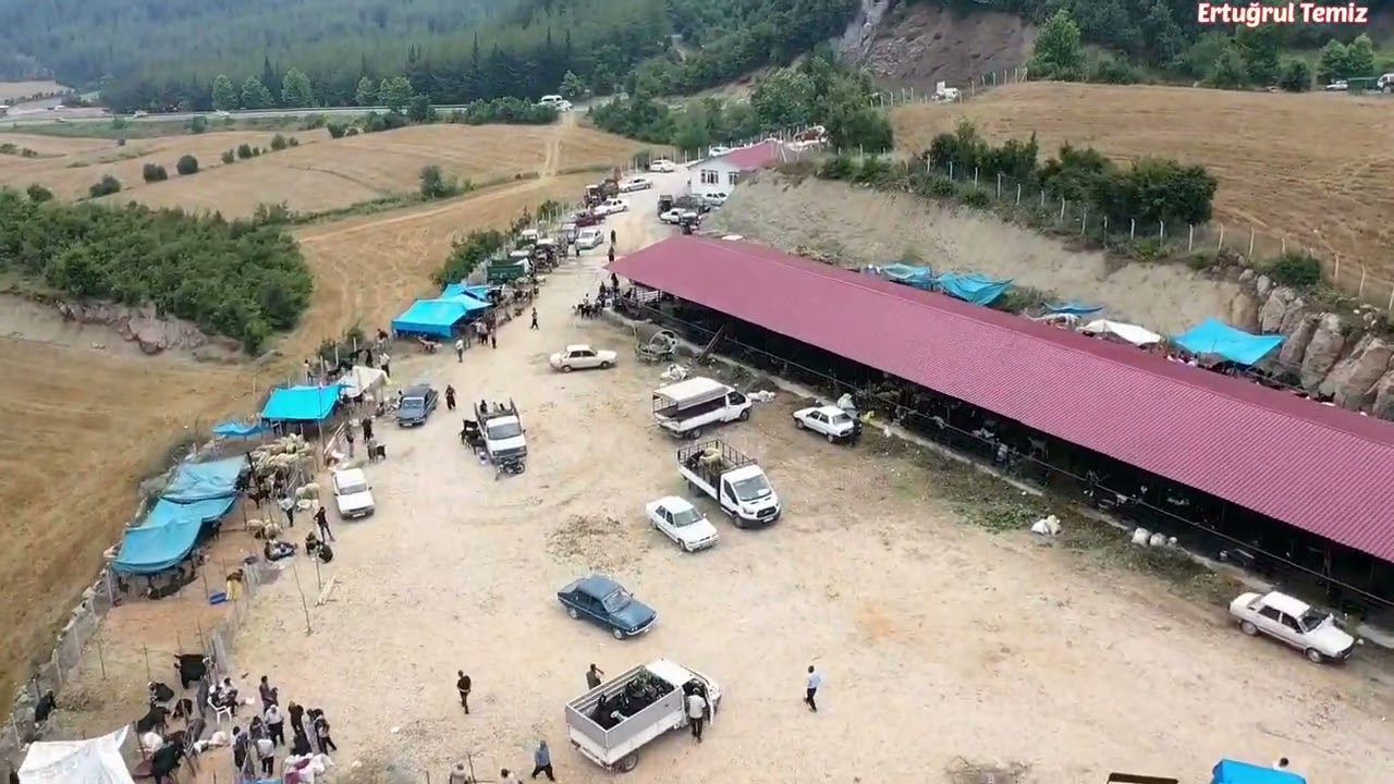 Andırın hayvan pazarı... Kurban bayrami arefe gününden