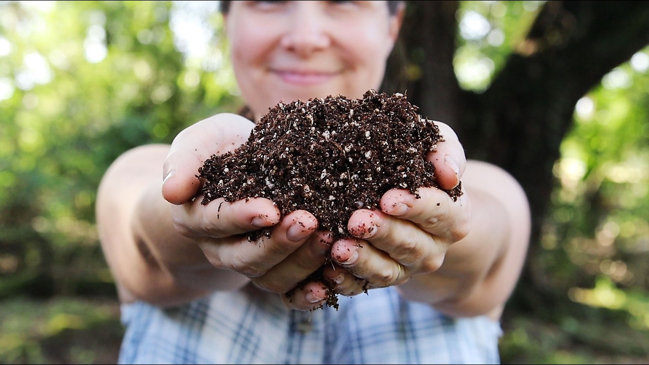DIY Seed Starting Mix: Save $$ & Grow Better!