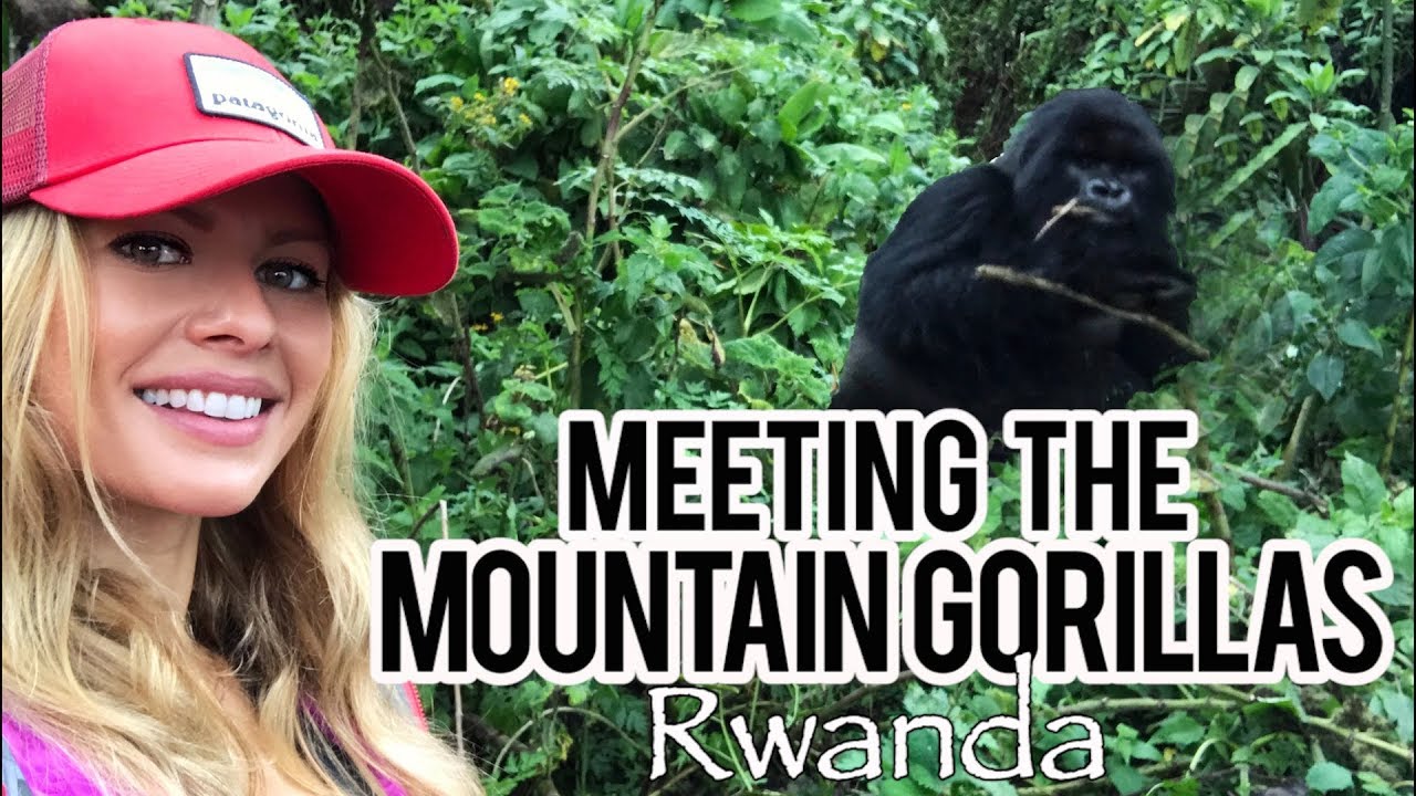 Mountain Gorilla Trekking in RWANDA!!! 🇷🇼 🦍❤️  TRAVEL VLOG