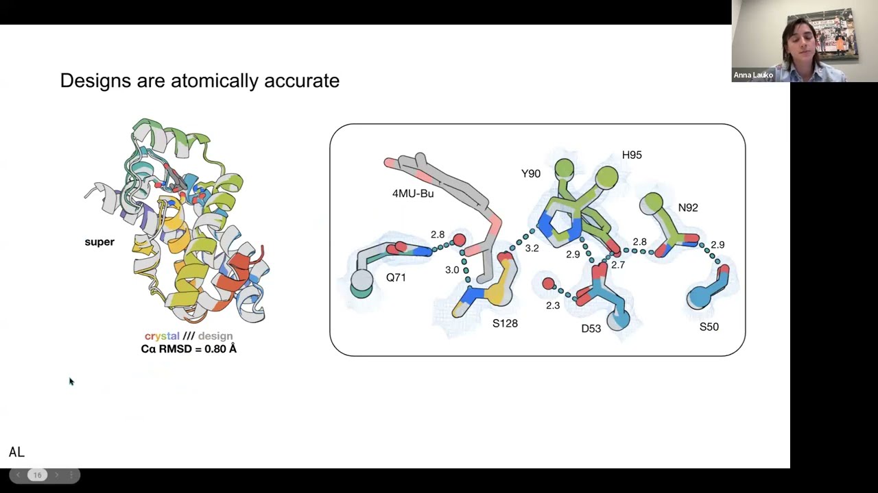 Computational design of serine hydrolases