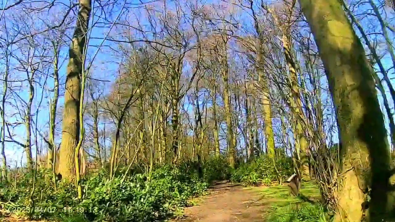 Singleton, Hambleton, Poulton and Layton bike ride 07/04/2023