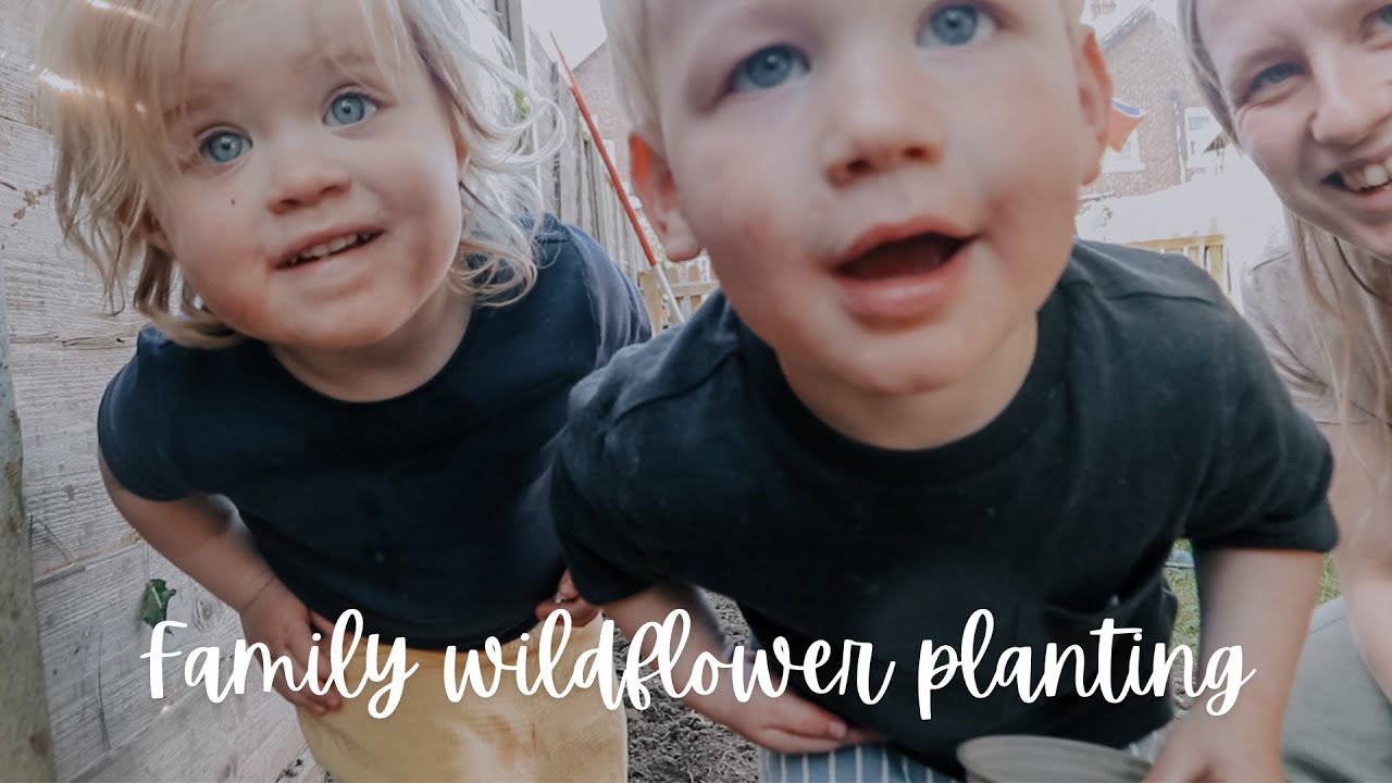 Family Wildflower Planting and a Late Spring Garden Update