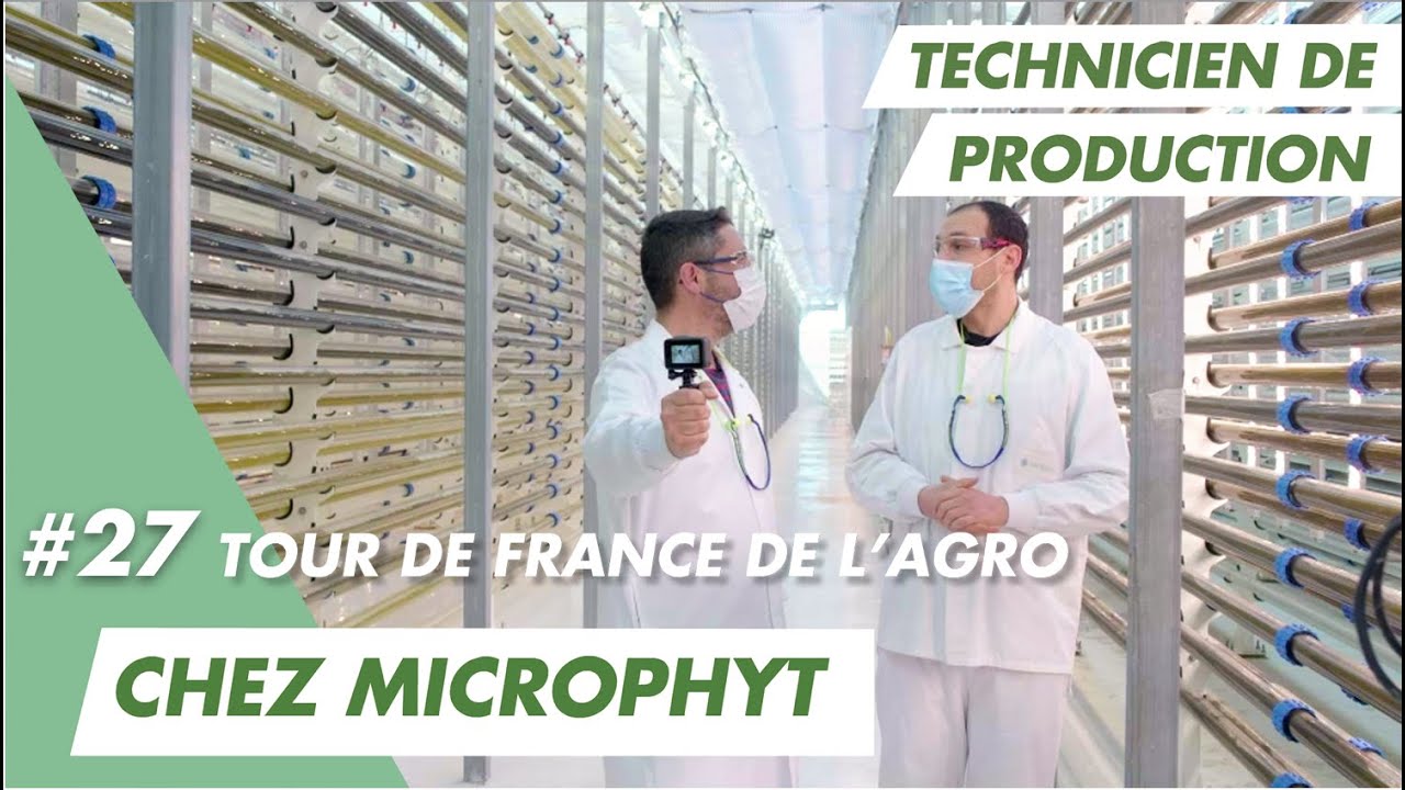 Sabry m'apprend à faire fonctionner un photobioréacteur chez Microphyt à côté de Montpellier