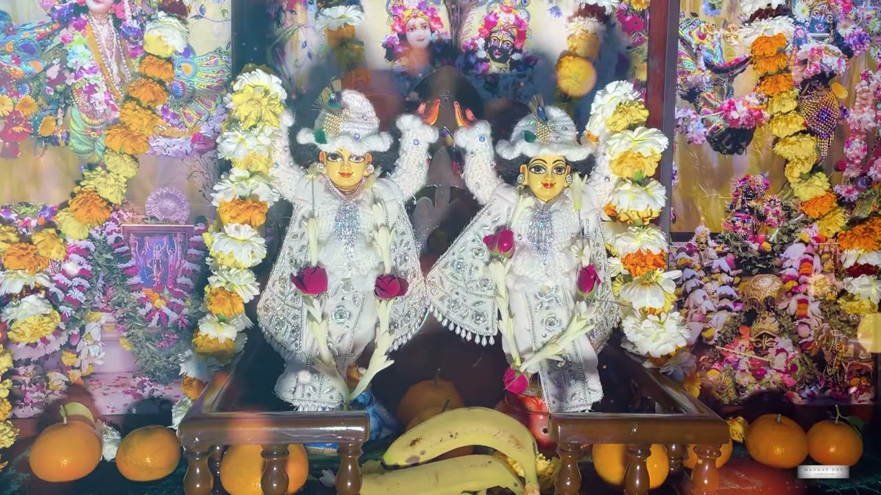 Powerful Hare Krishna Sankirtan I Feel the Energy Iskcon Rohtak I Madhav Das Sankirtan #kirtan