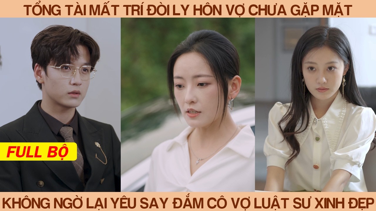 Tổng Tài Mất Trí Đòi Ly Hôn Vợ Chưa Gặp Mặt, Không Ngờ Lại Yêu Say Đắm Cô Vợ Luật Sư Xinh Đẹp