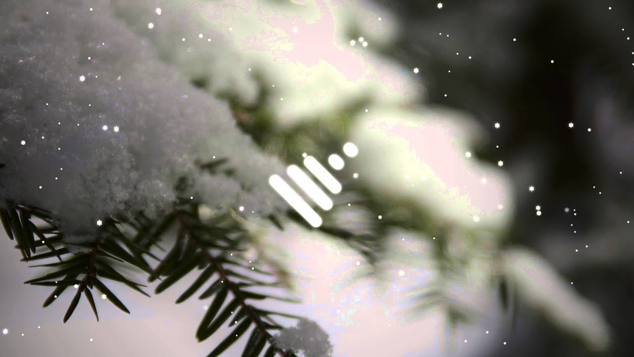 Ronettes - Sleigh Bells (PhatCap! Remix) [Bass Boosted]