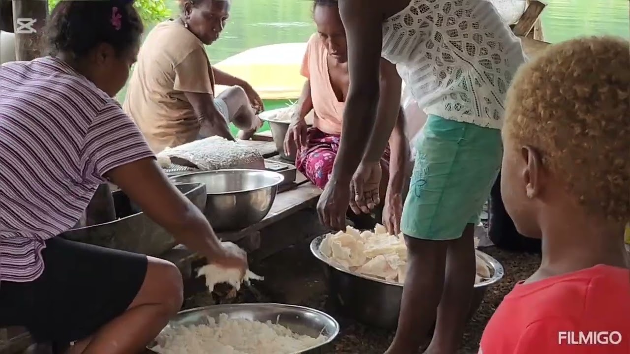 Sago starch is a Resilient food source for Cyclone regions of the Pacific
