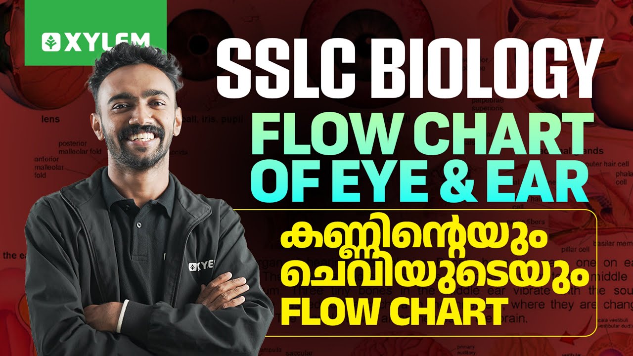 SSLC Biology | Flow Chart of Eye & Ear | കണ്ണിന്റെയും ചെവിയുടെയും Flow Chart | Xylem SSLC