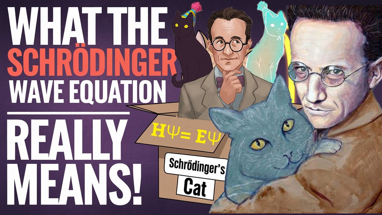 Schrodinger Wave Equation explained | Why Quantum Physics is so strange