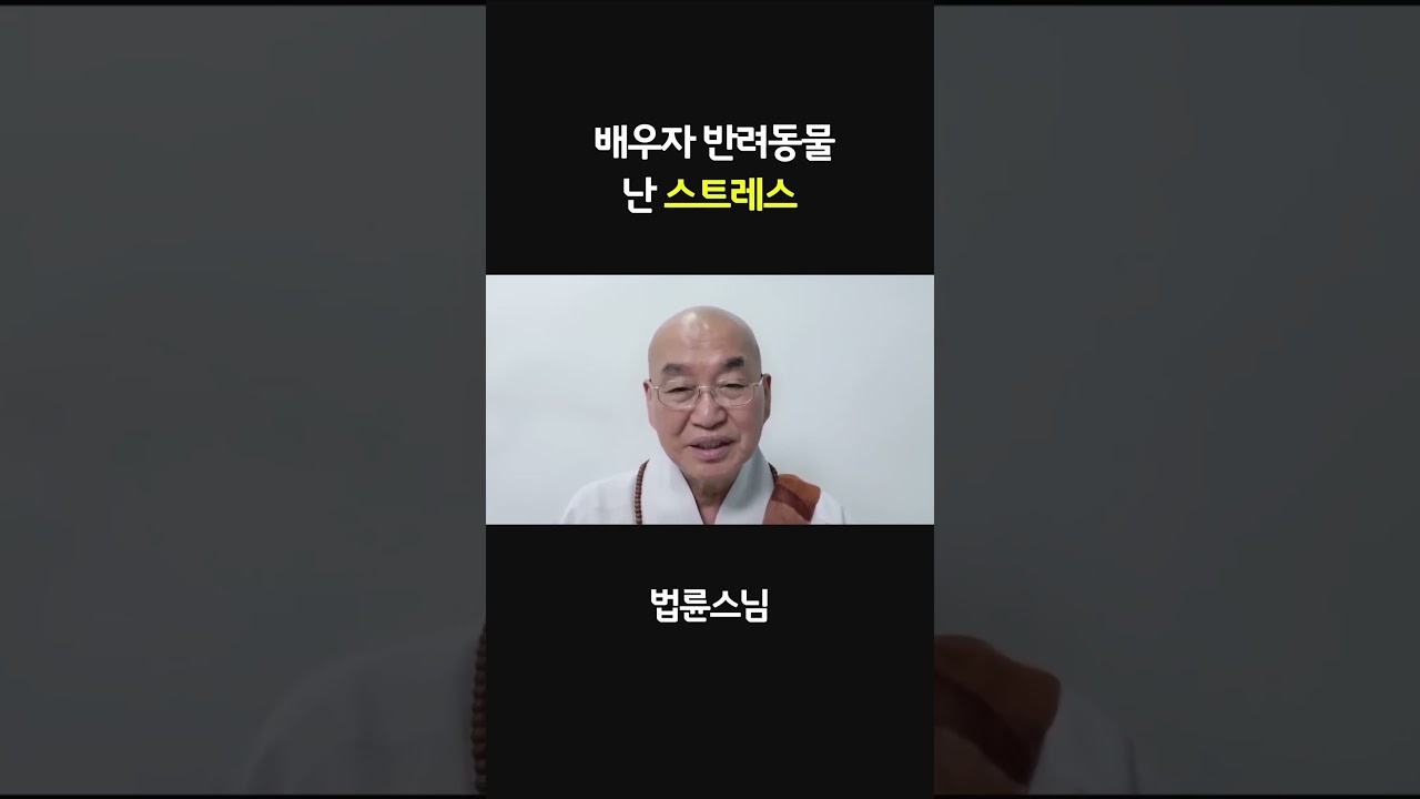 배우자의 반려동물  #법륜스님 #강아지 #가족 #임신중 #노견 #반려동물