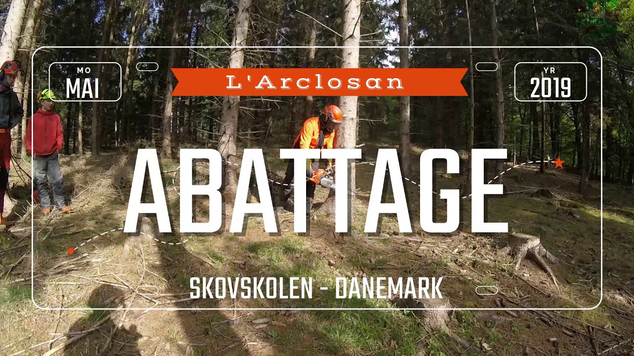 Voyage linguistique au Danemark
