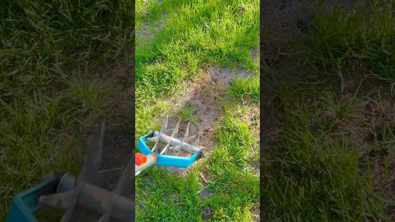 Astuce pour regarnir facilement sa pelouse