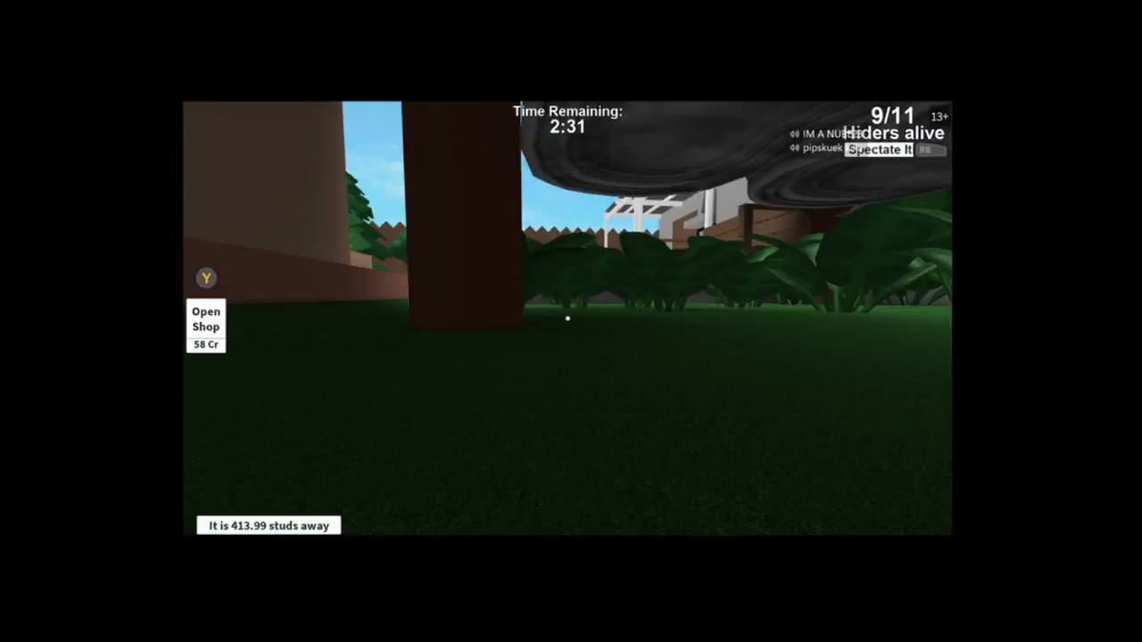 Random crap w/ the Woof gang