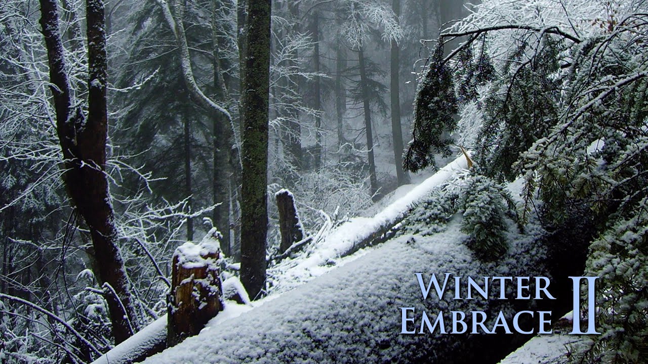 Altus - Winter Embrace II (2006)