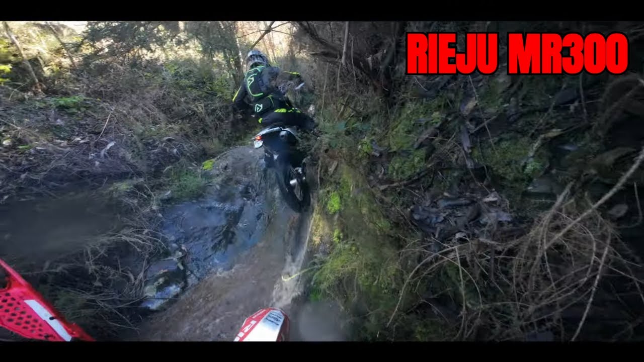 Rieju Mr300 | HARD ENDURO | BELAZAIMA EXTREME