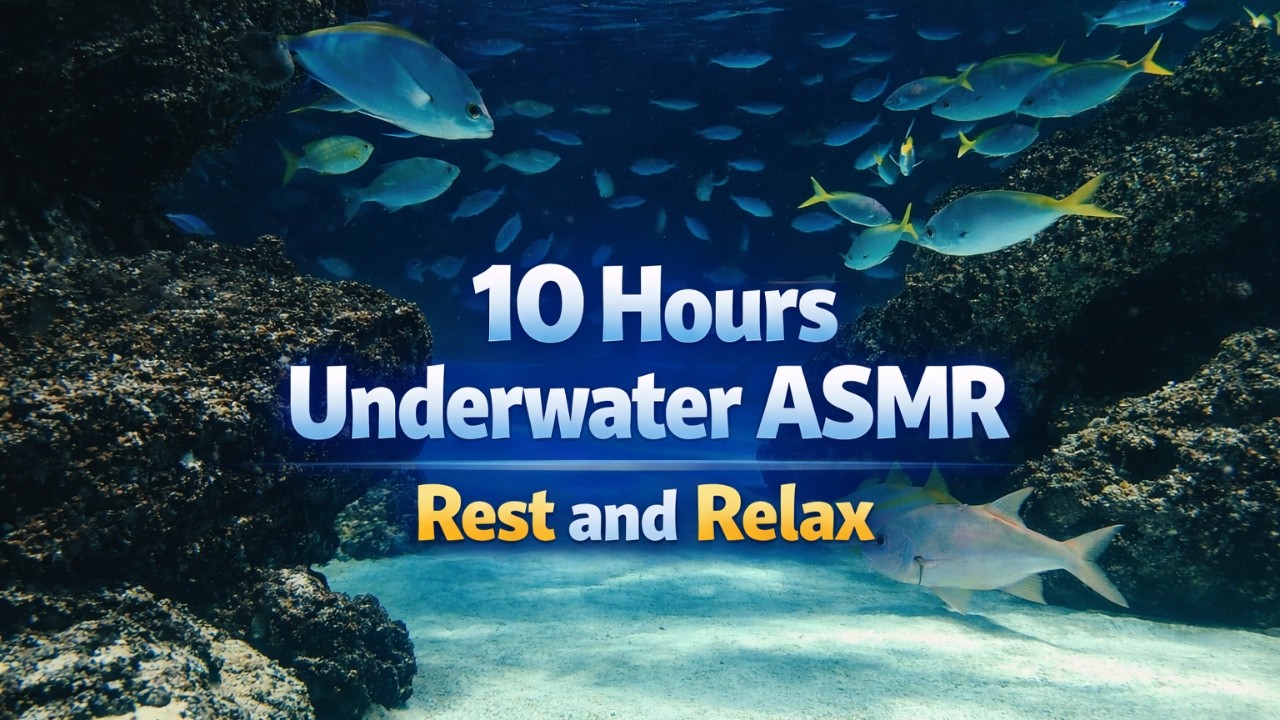 4K Aquarium Escape | Watch, Relax, and Forget the World