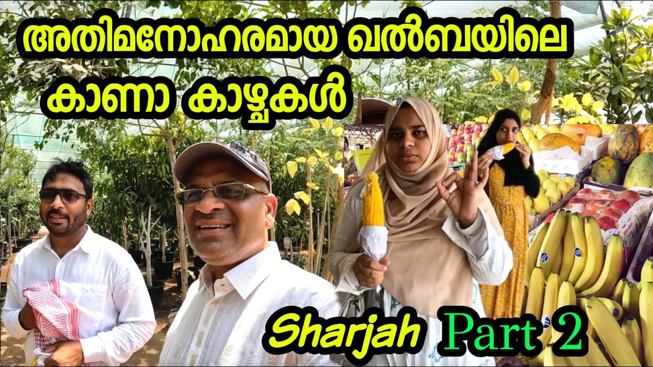 അതിമനോഹരമായ കൽബയിലെ കാണാ കാഴ്ച്ചകൾ..UAE KALBA TRIP PART ,2