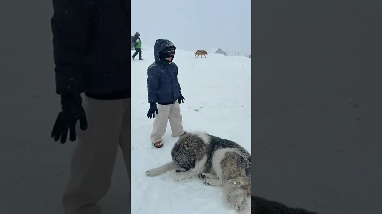 اكلت الثلج🤣تزحلقت وطاحت في الثلج🫣رحلة الثلج في جورجيا ❤️دكتورة خلود وامين واطفالهم 🥰