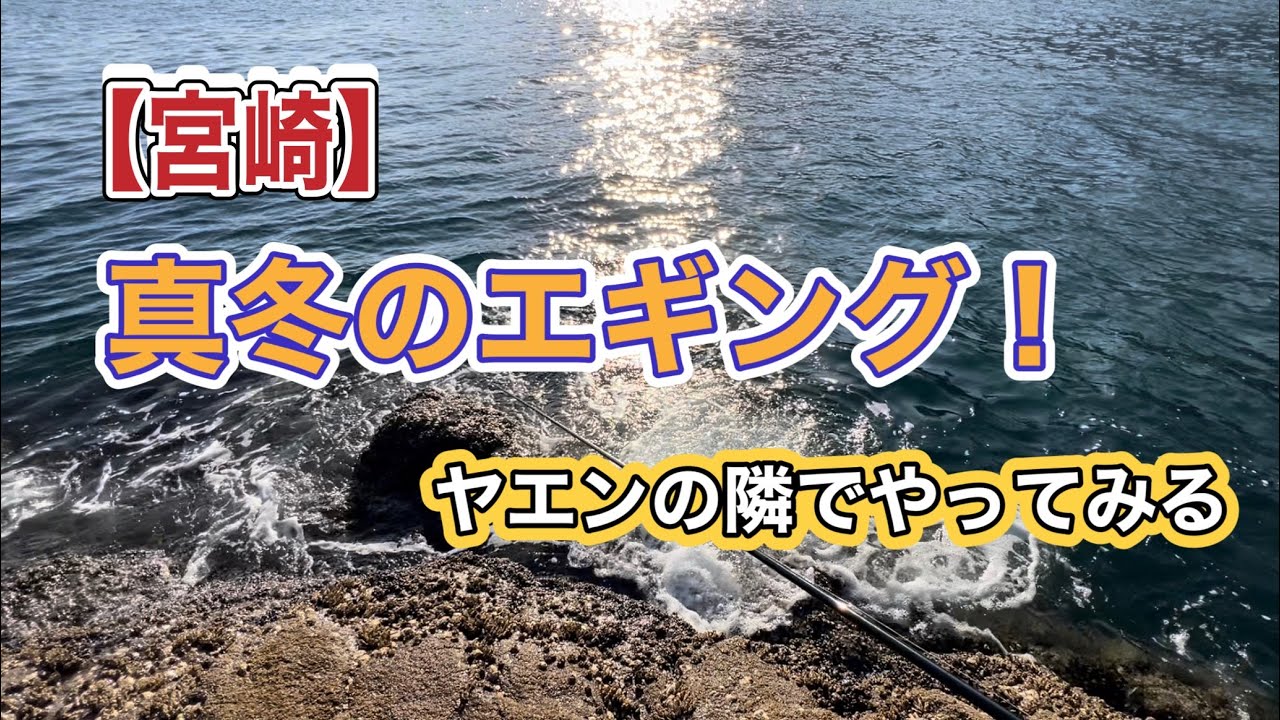 【宮崎】【エギング】真冬のエギング！ヤエンの隣でやってみる