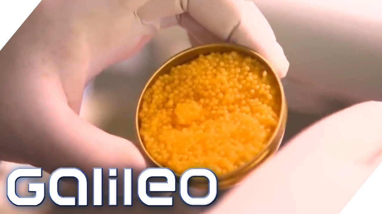 65.000&euro; pro Kilo! Die teuersten Lebensmittel der Welt | Galileo | ProSieben