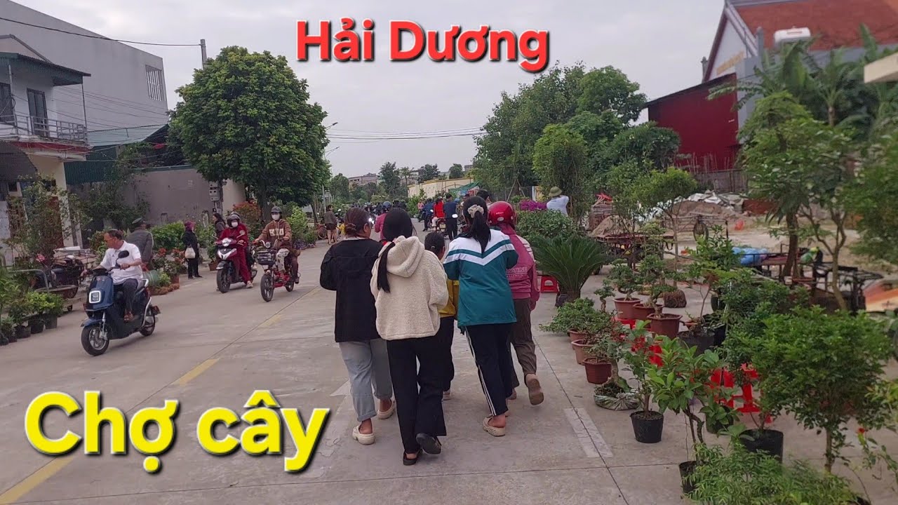 Khám phá chợ bán cây ở chợ Cuối Hải Dương